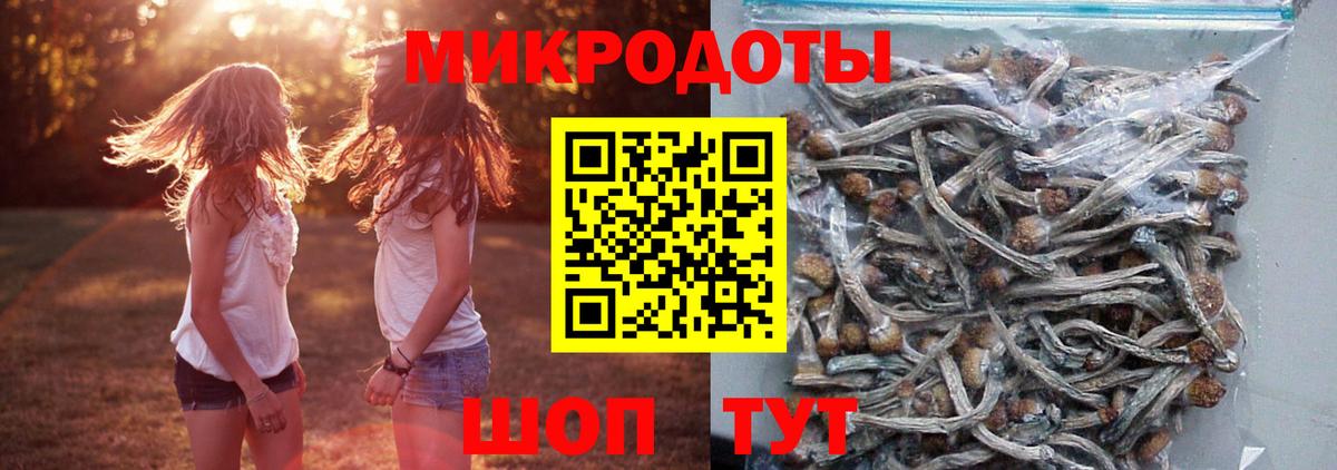 Псилоцибиновые грибы прущие грибы Магнитогорск